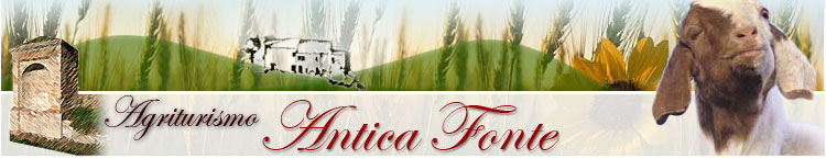 VAI ALLA HOME PAGE