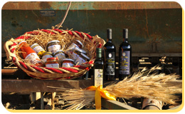 L'azienda agricola Antica Fonte, a Rosignano Marittimo, Costa Toscana