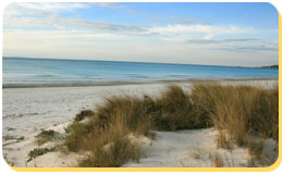 Spiagge Bianche